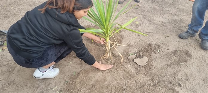 Campaña de Reforestación en el Centro Universitario de los Lagos