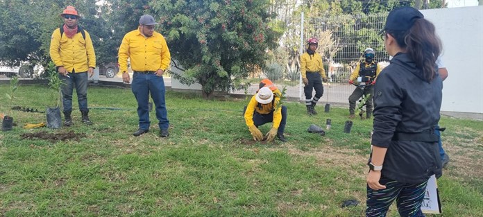 Campaña de Reforestación en el Centro Universitario de los Lagos