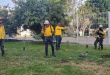 Campaña de Reforestación en el Centro Universitario de los Lagos