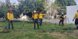 Campaña de Reforestación en el Centro Universitario de los Lagos