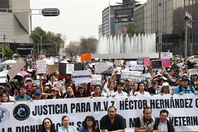 Veterinarios en México exigen un alto a los ataques contra el gremio tras un asesinato