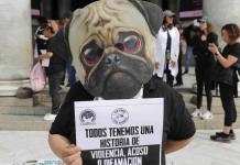 Veterinarios en México exigen un alto a los ataques contra el gremio tras un asesinato