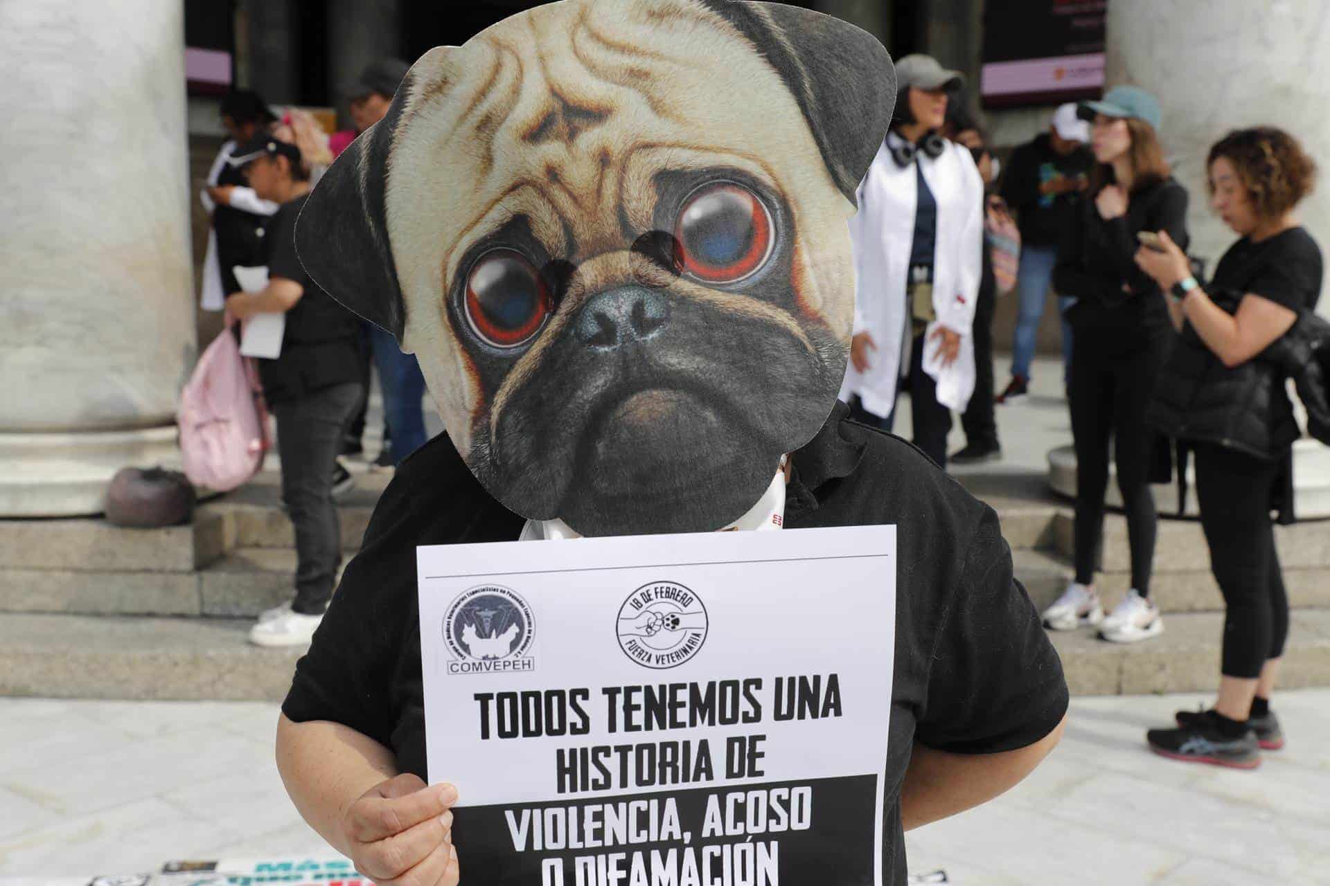 Veterinarios en México exigen un alto a los ataques contra el gremio tras un asesinato