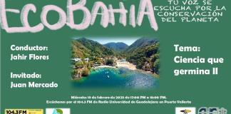 Ecobahía - 19 de Febrero del 2025