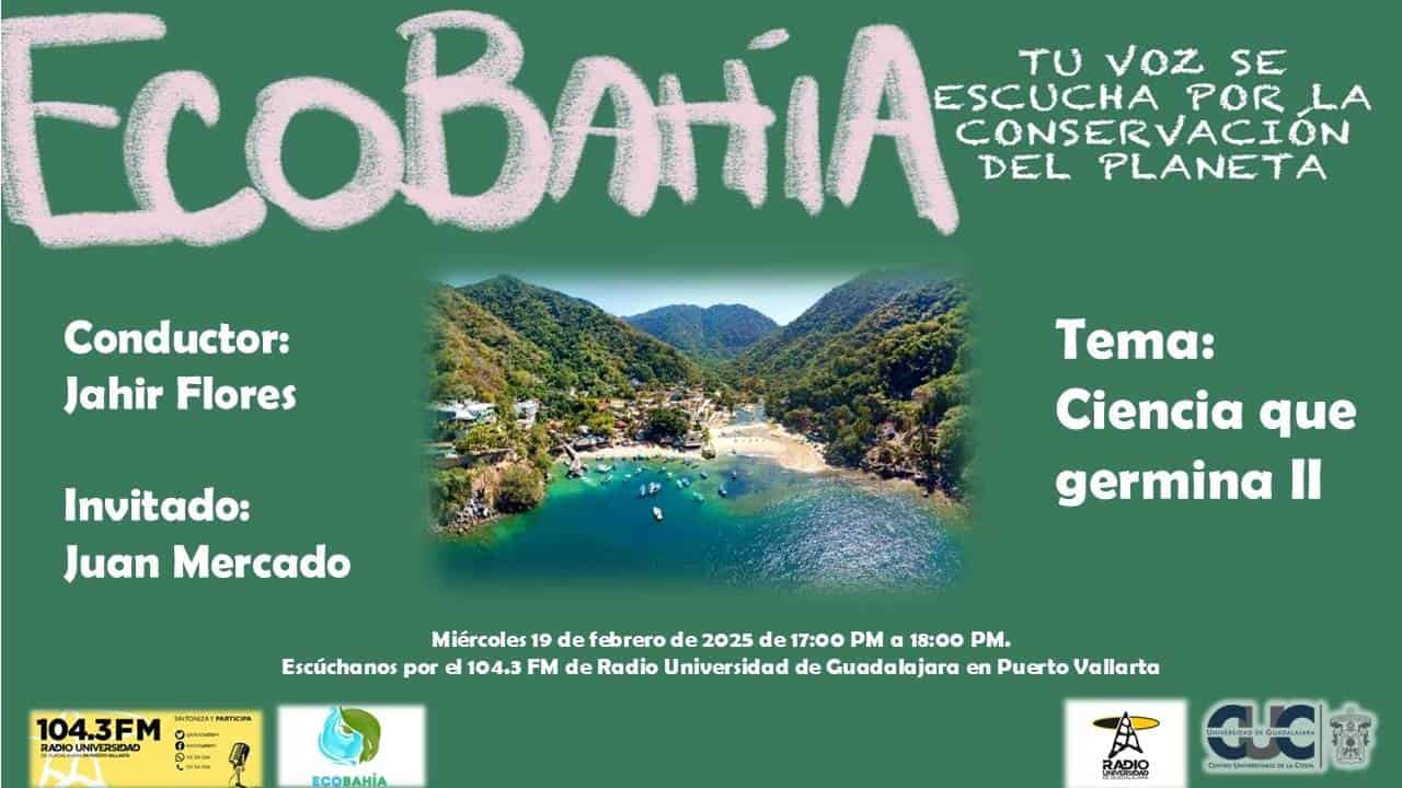 Ecobahía - 19 de Febrero del 2025