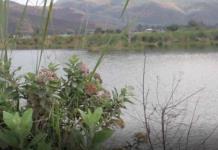 Sader visita Laguna de Zapotlán y encuentra problema de contaminación