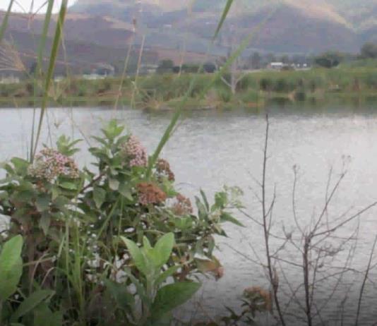 Sader visita Laguna de Zapotlán y encuentra problema de contaminación