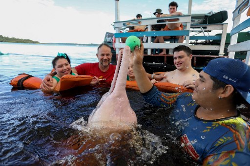 Terapia con delfines amazónicos ayuda a jóvenes con discapacidad en Brasil