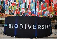 Nuevas sesiones de la COP16 concluyen con un importante plan financiero para la biodiversidad