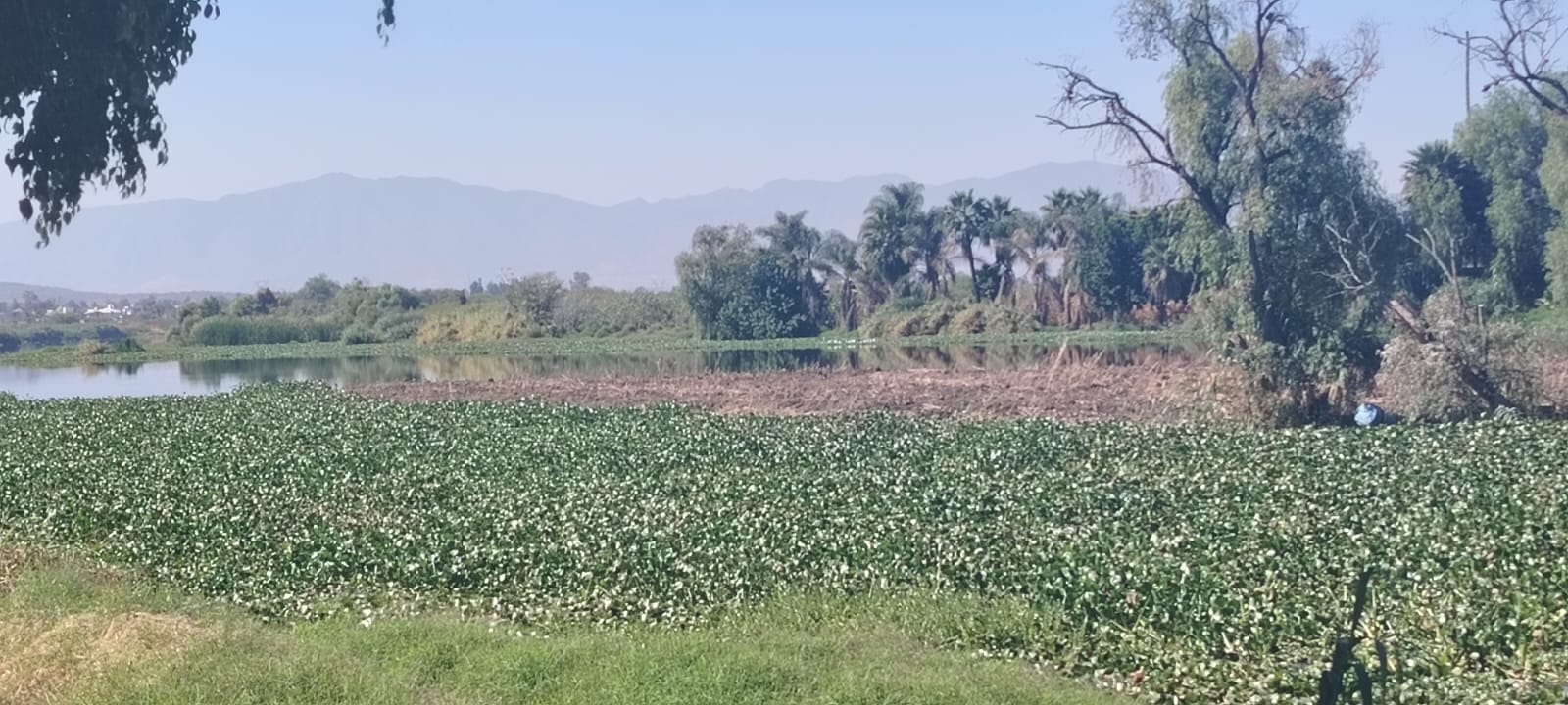 Ya a nadie el importamos: el hastío de la gente que vive junto al río que prometieron revivir