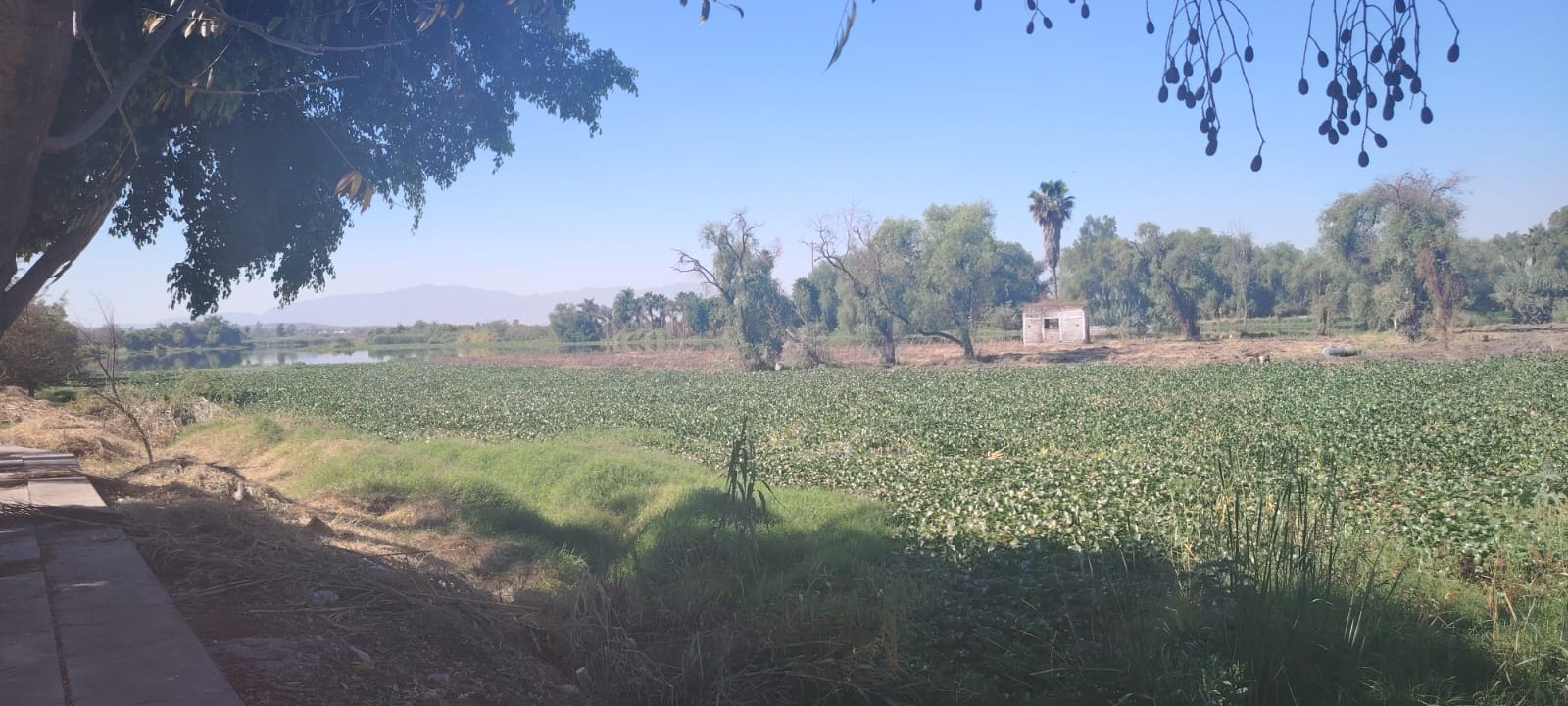 Ya a nadie el importamos: el hastío de la gente que vive junto al río que prometieron revivir