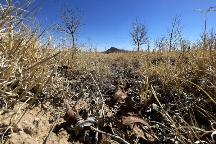 Sequía extrema golpea a Chihuahua y pone en riesgo producción agrícola en norte de México