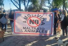 Se manifestaron rescatistas y habitantes de Lagos en pro de los animales