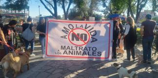 Se manifestaron rescatistas y habitantes de Lagos en pro de los animales