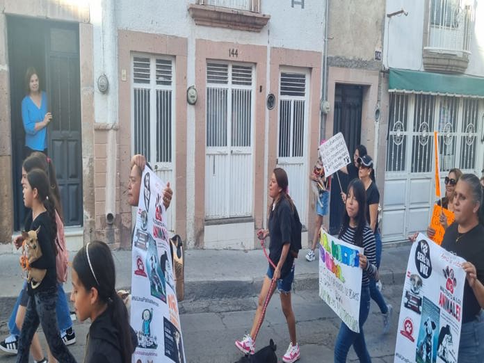 Se manifestaron rescatistas y habitantes de Lagos en pro de los animales