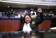 Karina Ruiz, la primera senadora migrante, aboga por los derechos de los mexicanos en el exterior