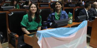 El Congreso rechazó reconocer en la ley el derecho de las infancias trans a cambiar su identidad