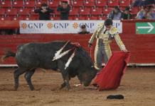 Sheinbaum aboga por las corridas de toros sin maltrato ni muerte animal