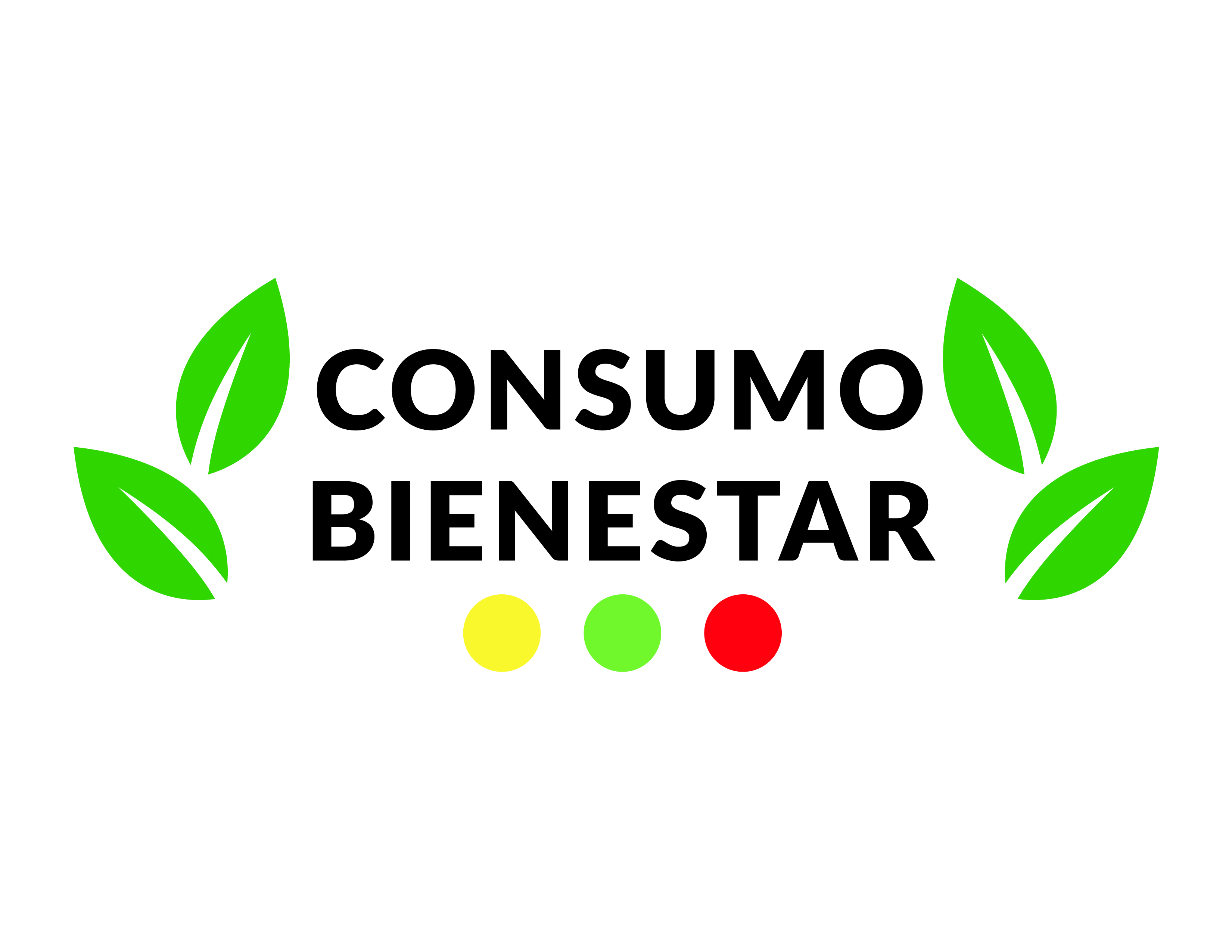 Consumo Bienestar — 12 de Marzo de 2025