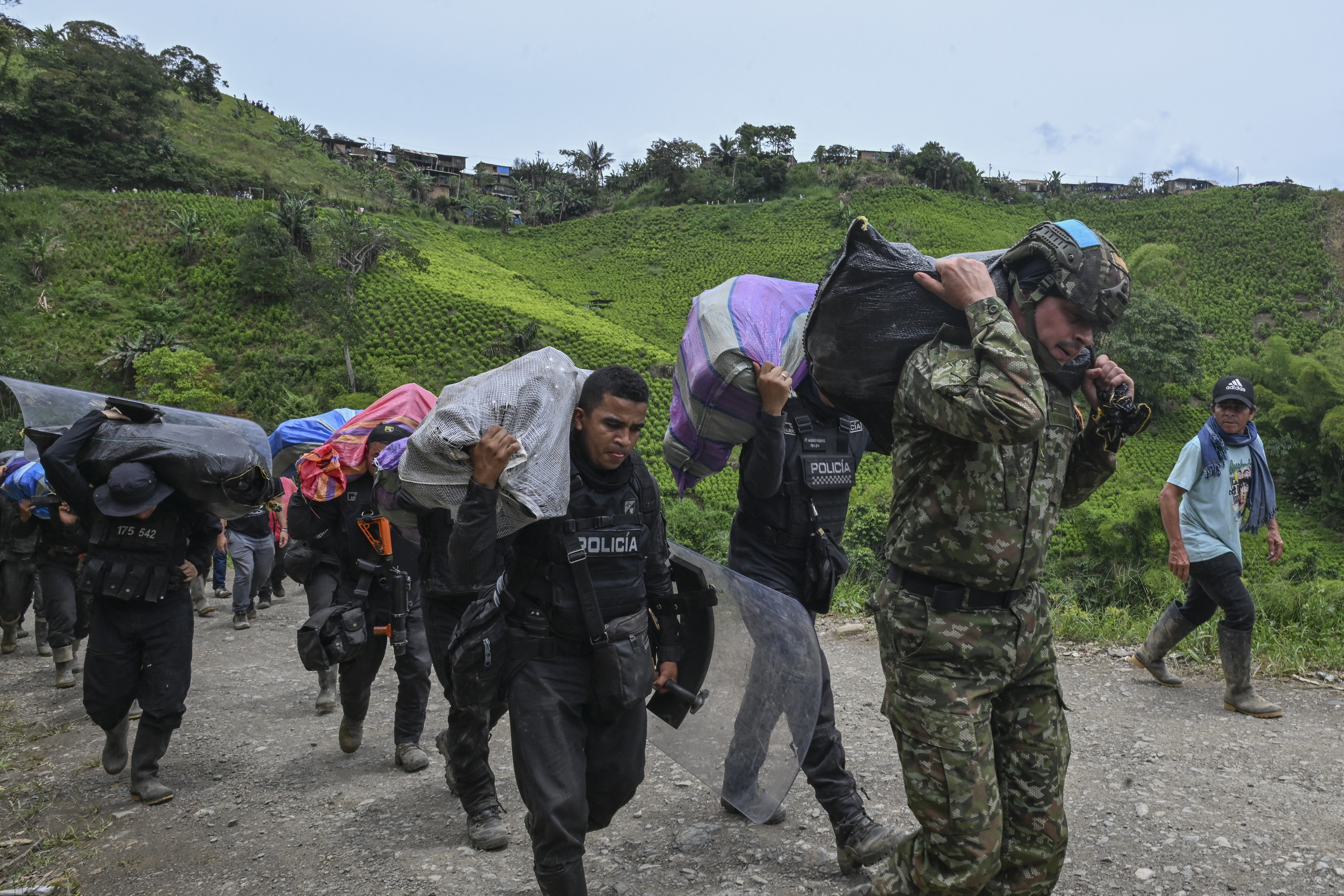 El cañón de la coca, talón de Aquiles del proyecto de paz en Colombia