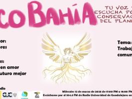 Ecobahía - 12 de Marzo del 2025
