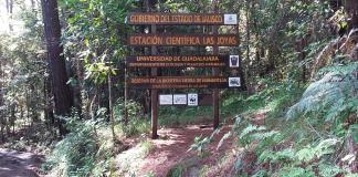 Las Joyas, un pilar de conservación y educación Dr. Eduardo Santana resalta el impacto del CUCSUR