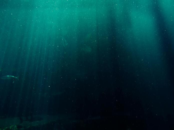 Científicos cartografían el lecho marino, más desconocido que la Luna