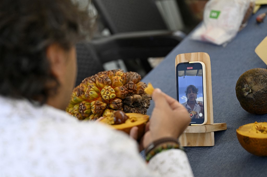 El señor de las frutas: un gurú que conserva la riqueza natural de Colombia