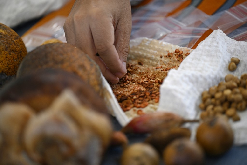 El señor de las frutas: un gurú que conserva la riqueza natural de Colombia