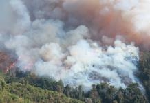 Desastres climáticos obligan a personas a huir en cifras récord, alerta la ONU