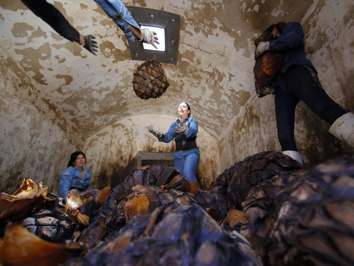 El poder femenino impulsa a una empresa tequilera en los Altos de Jalisco