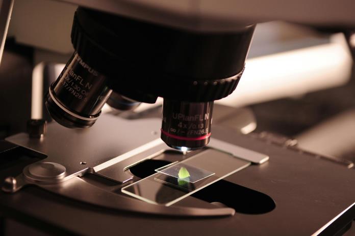 Funcionario de la OMS desmiente rumores sobre nuevo virus en Rusia