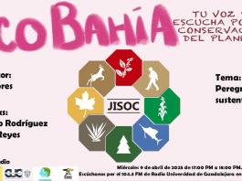 Ecobahía - 09 de Abril del 2025