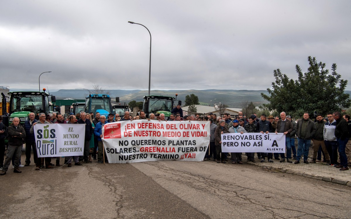 El pueblo español que lucha por salvar sus olivos de las plantas fotovoltaicas