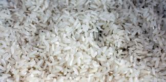 Chile desarrolla un arroz resistente capaz de adaptarse al cambio climático