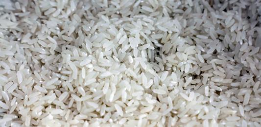 Arroceros colombianos piden controles y bloqueo al cereal ecuatoriano por aranceles