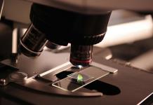 Los misterios de los obeliscos, diminutos habitantes de nuestro organismo