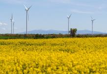 Las energías renovables, en el punto de mira tras el gran apagón en España