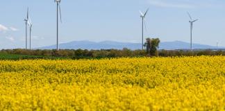 Las energías renovables, en el punto de mira tras el gran apagón en España