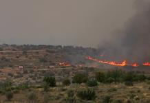 Alerta máxima por incendios devastadores en la región de Jerusalén
