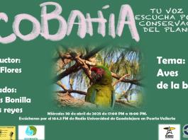 Ecobahía - 30 de Abril del 2025