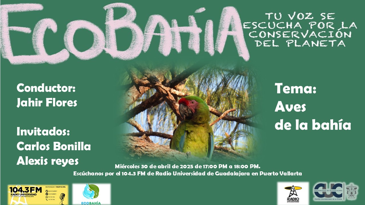 Ecobahía - 30 de Abril del 2025 Ecobahía - 30 de Abril del 2025