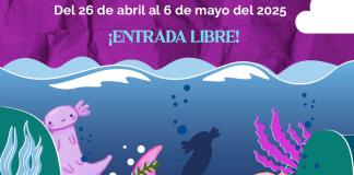 Acompañar e impulsar a las infancias, el objetivo del Festival Internacional Raíces