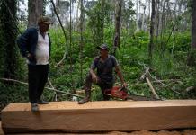 La pequeña guardia indígena que vigila el bosque amazónico en Perú