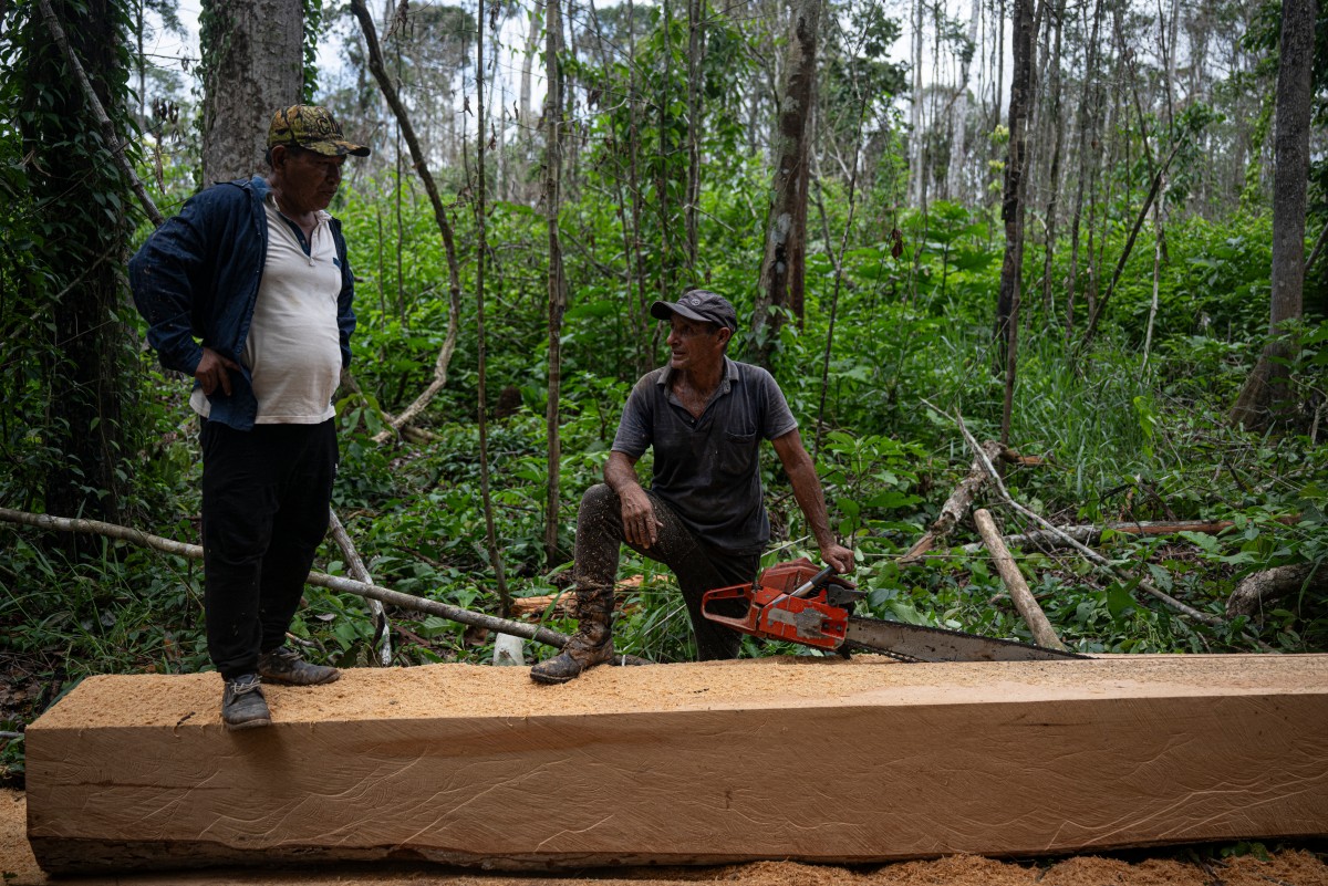 La pequeña guardia indígena que vigila el bosque amazónico en Perú