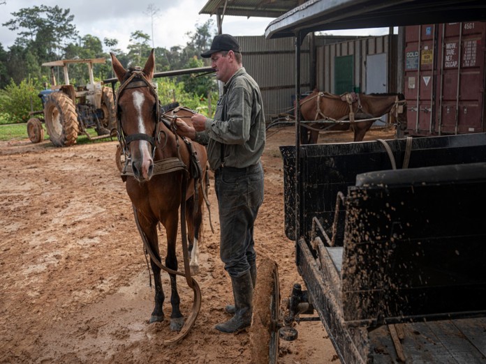 Flechas contra tractores: expansión menonita aviva pugna en Amazonía peruana Flechas contra tractores: expansión menonita aviva pugna en Amazonía peruana