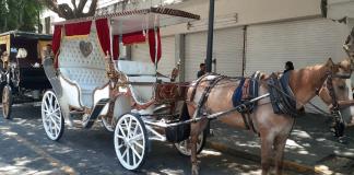 Solo quedan ocho calandrias tiradas por caballos en Guadalajara