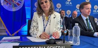 La OEA eligió por primera vez a una mujer como subsecretaria general