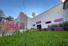 Patronato de los museos de Ocotlán concluye relaciones con gobierno municipal