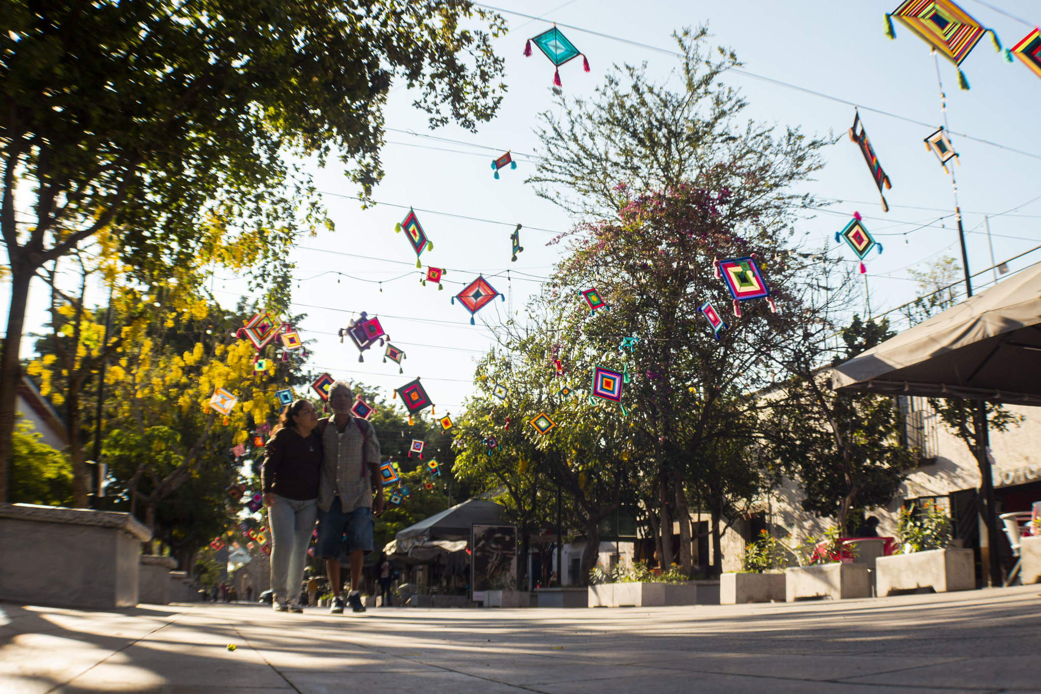 Rumbo al Mundial, Zapopan anuncia remodelación del Centro con inversión de 300 MDP Rumbo al Mundial, Zapopan anuncia remodelación del Centro con inversión de 300 MDP